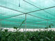 Red ultravioleta anti de la sombra de la agricultura de Sun del HDPE para que casa verde proteja las plantas