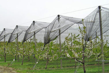 Redes plásticas del Anti-Saludo de la agricultura con ultravioleta anti para la fruta y verdura